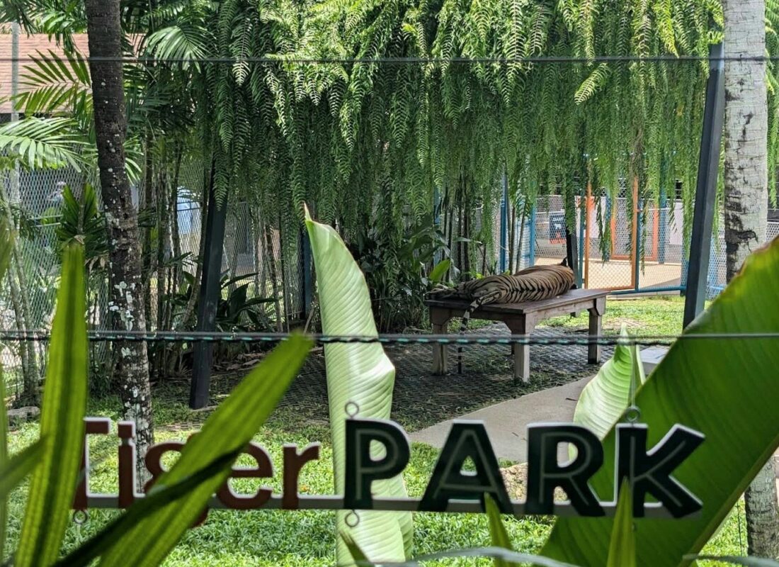 Tiger Park на Пхукете