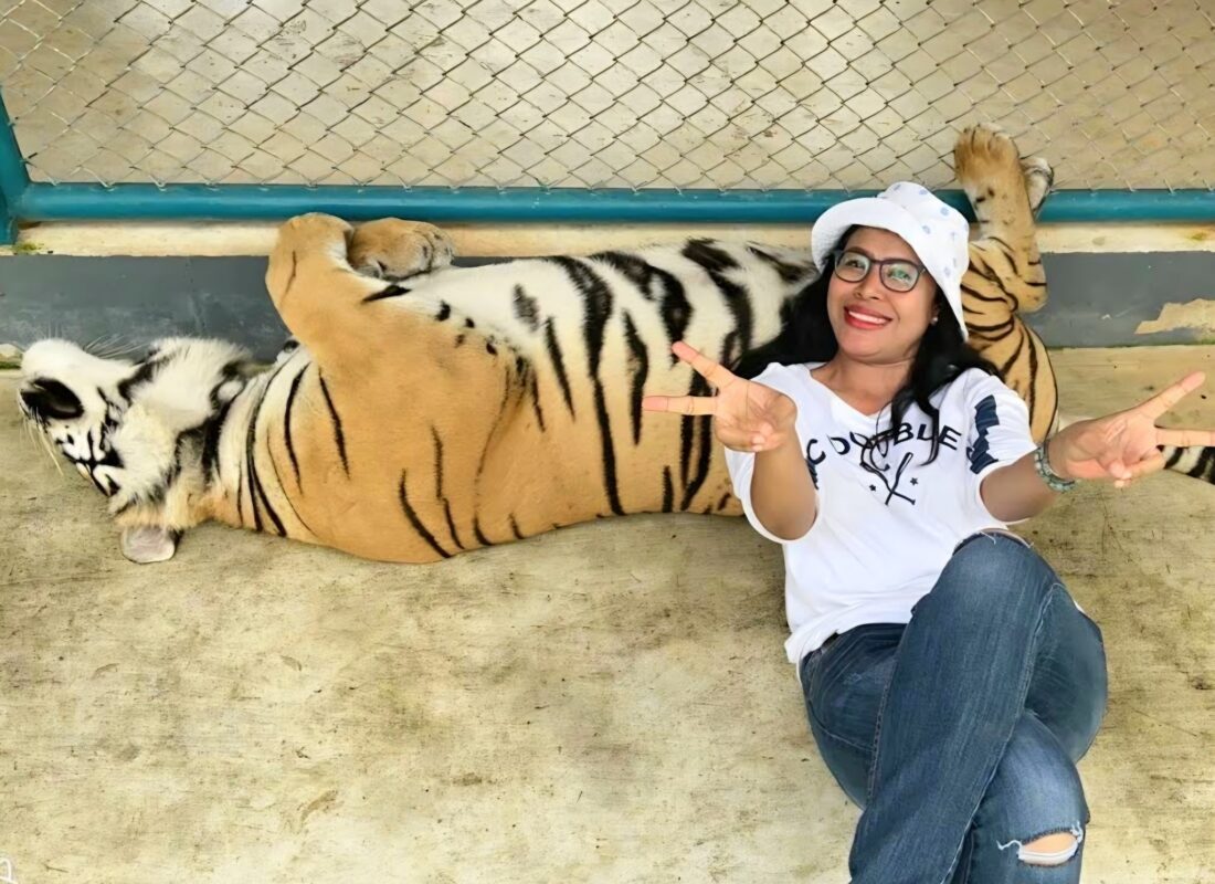 Tiger Park на Пхукете